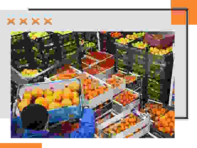 Перевозка скоропортящихся продуктов в Люберцах